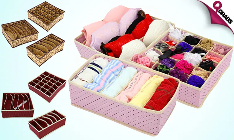 Foldable Innerwear Organizer!
